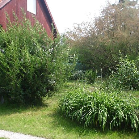 Podhajska Ubytovanie - D&B Konecna Trávnica Dış mekan fotoğraf